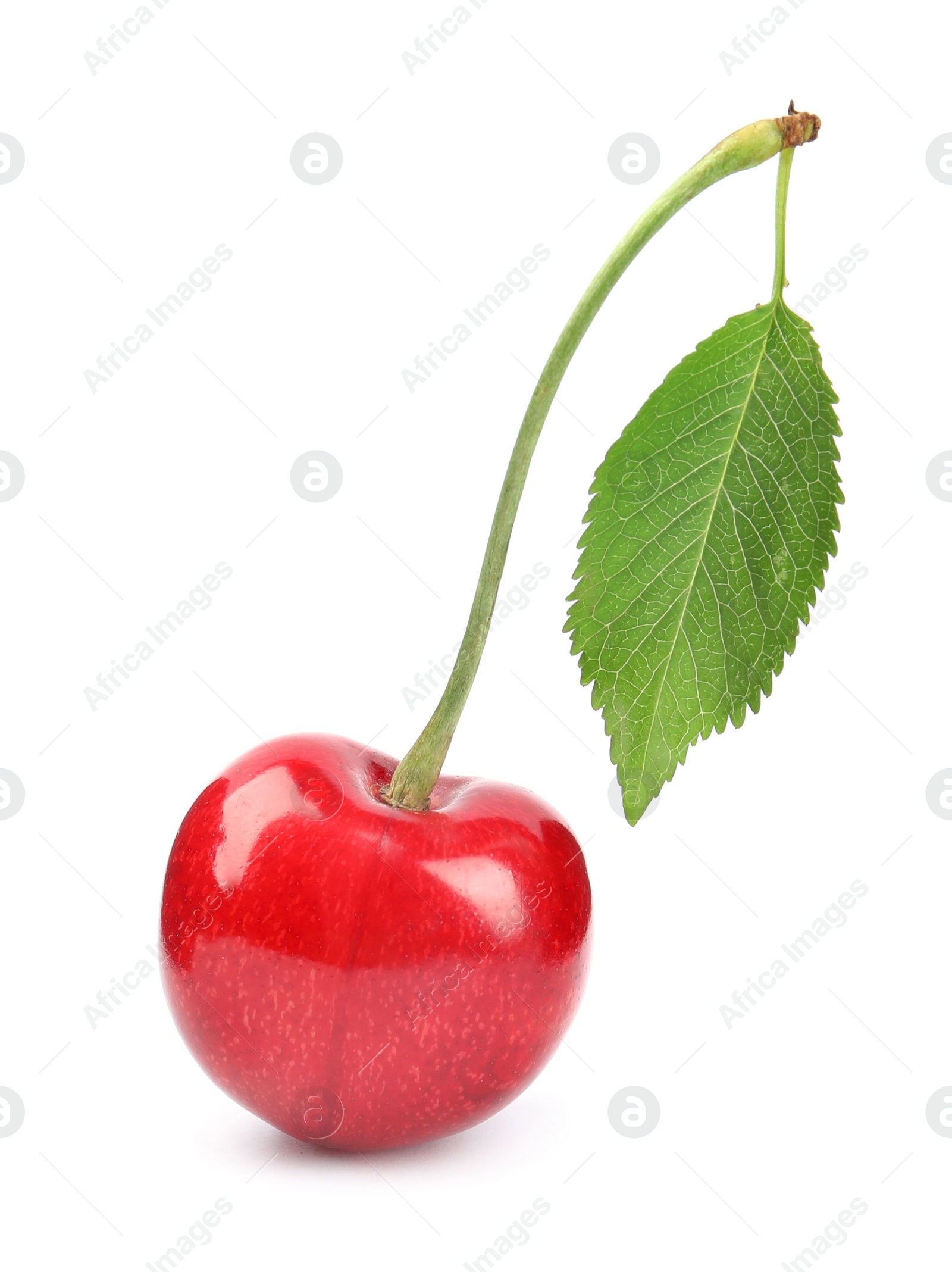 Photo of Delicious fresh sweet cherry on white background