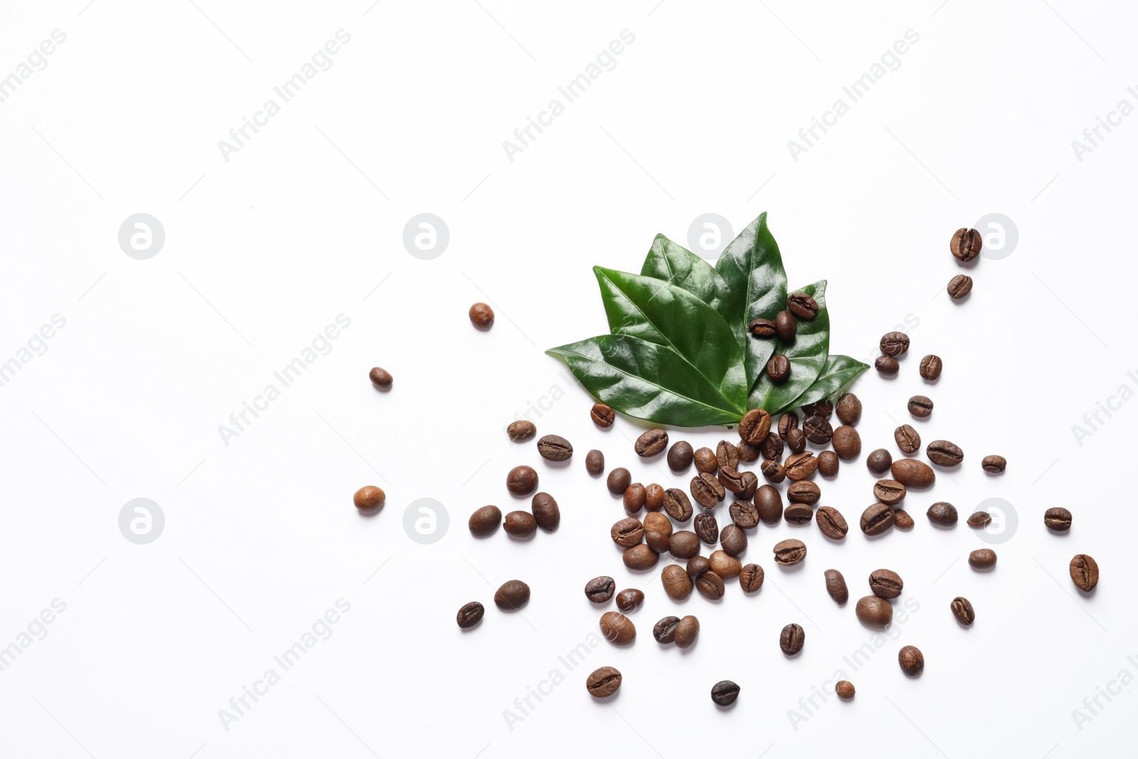 Photo of Fresh green coffee leaves and beans on white background, top view