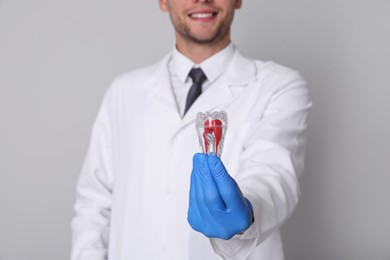 Photo of Dentist holding tooth model on light grey background, closeup