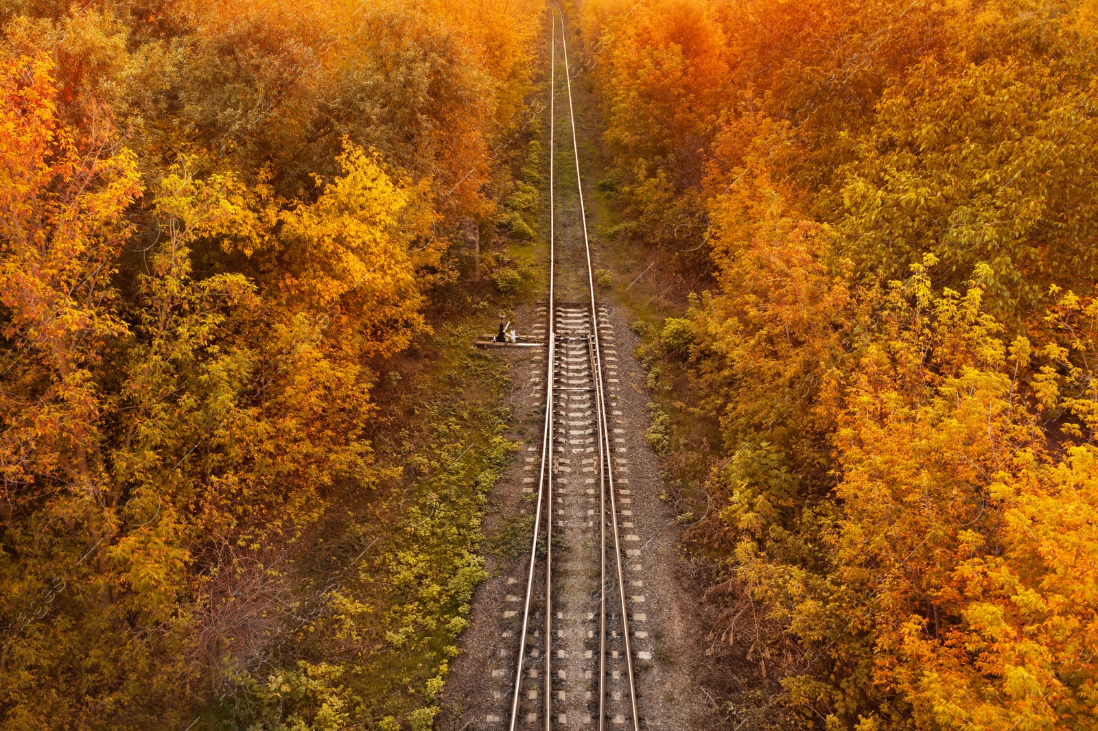 Image of Beautiful aerial view of autumn forest crossed by railway