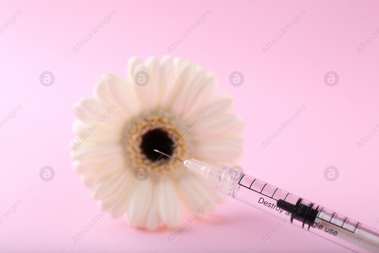 Photo of Cosmetology. Medical syringe and gerbera flower on pink background, closeup