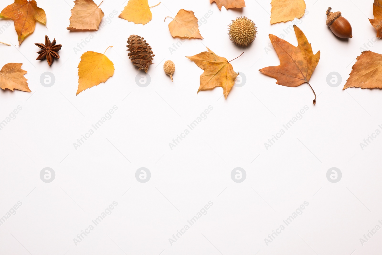 Photo of Flat lay composition with autumn leaves and space for text on white background