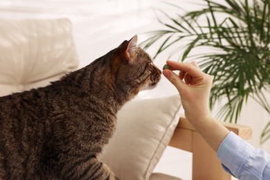 Photo of Woman giving pill to cute cat at home, closeup. Vitamins for animal