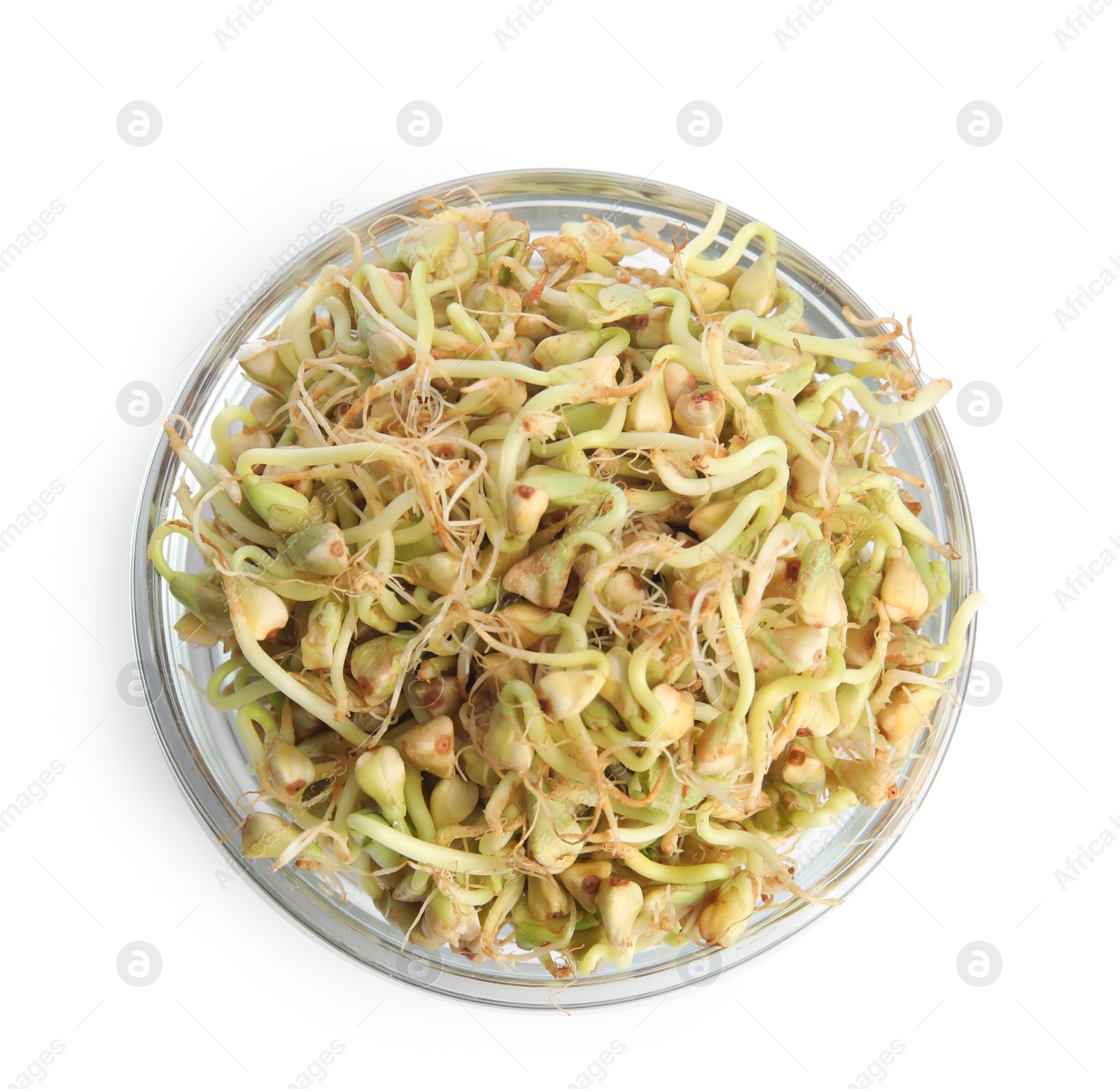 Photo of Glass bowl of sprouted green buckwheat isolated on white, top view