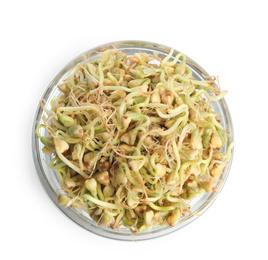 Photo of Glass bowl of sprouted green buckwheat isolated on white, top view