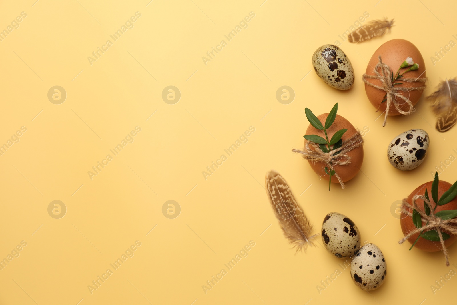 Photo of Happy Easter. Chicken and quail eggs with natural decor on yellow background, flat lay. Space for text