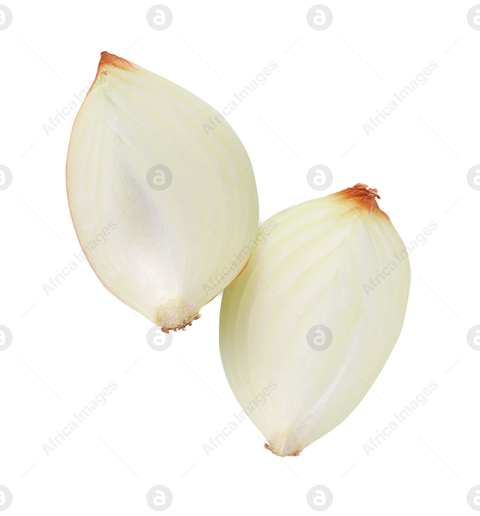 Photo of Pieces of fresh onion on white background, top view