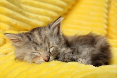 Photo of Cute kitten sleeping on soft yellow blanket