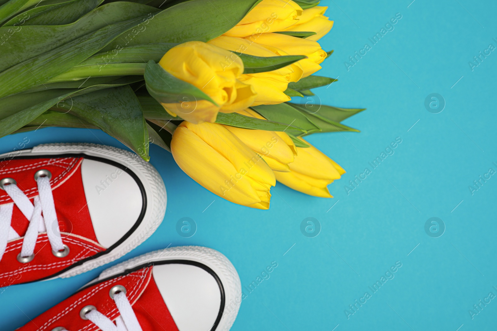 Photo of Pair of new stylish red sneakers and beautiful tulips on light blue background, flat lay. Space for text