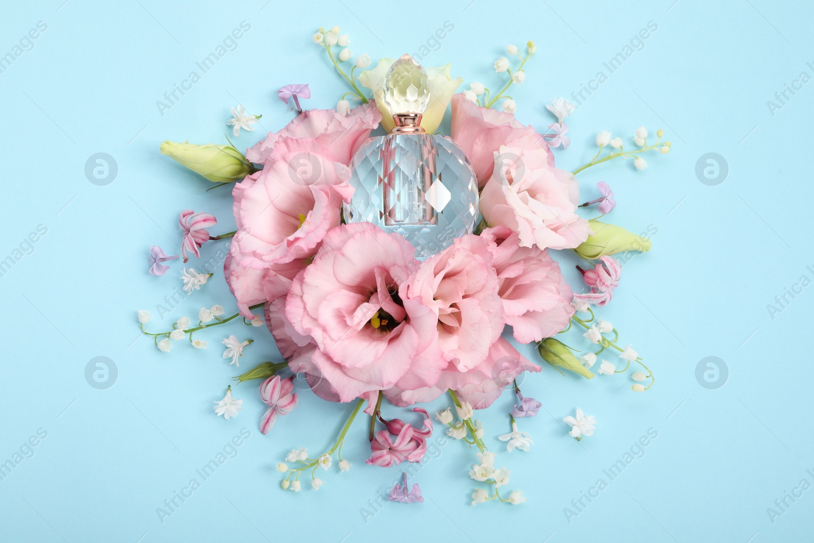 Photo of Luxury perfume and floral decor on light blue background, flat lay