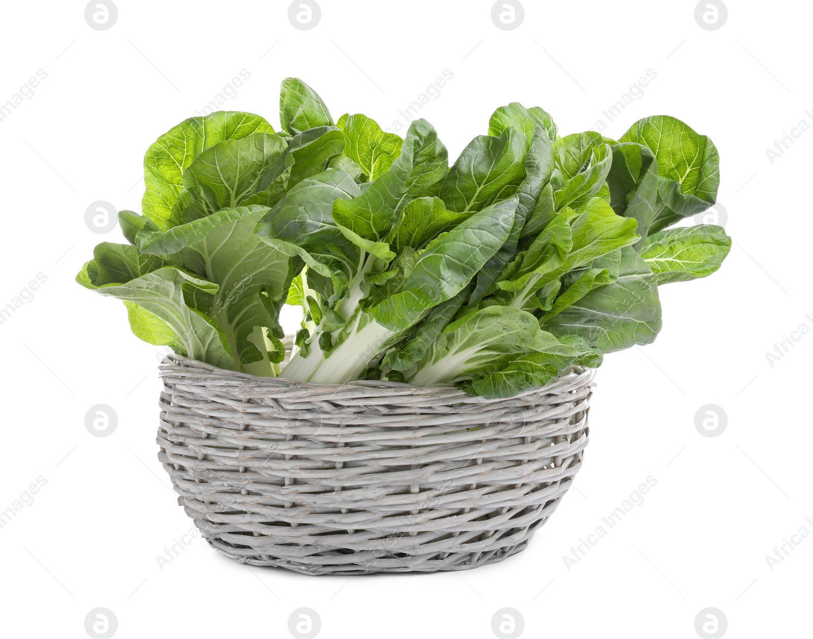 Photo of Fresh green pak choy cabbages in wicker basket on white background