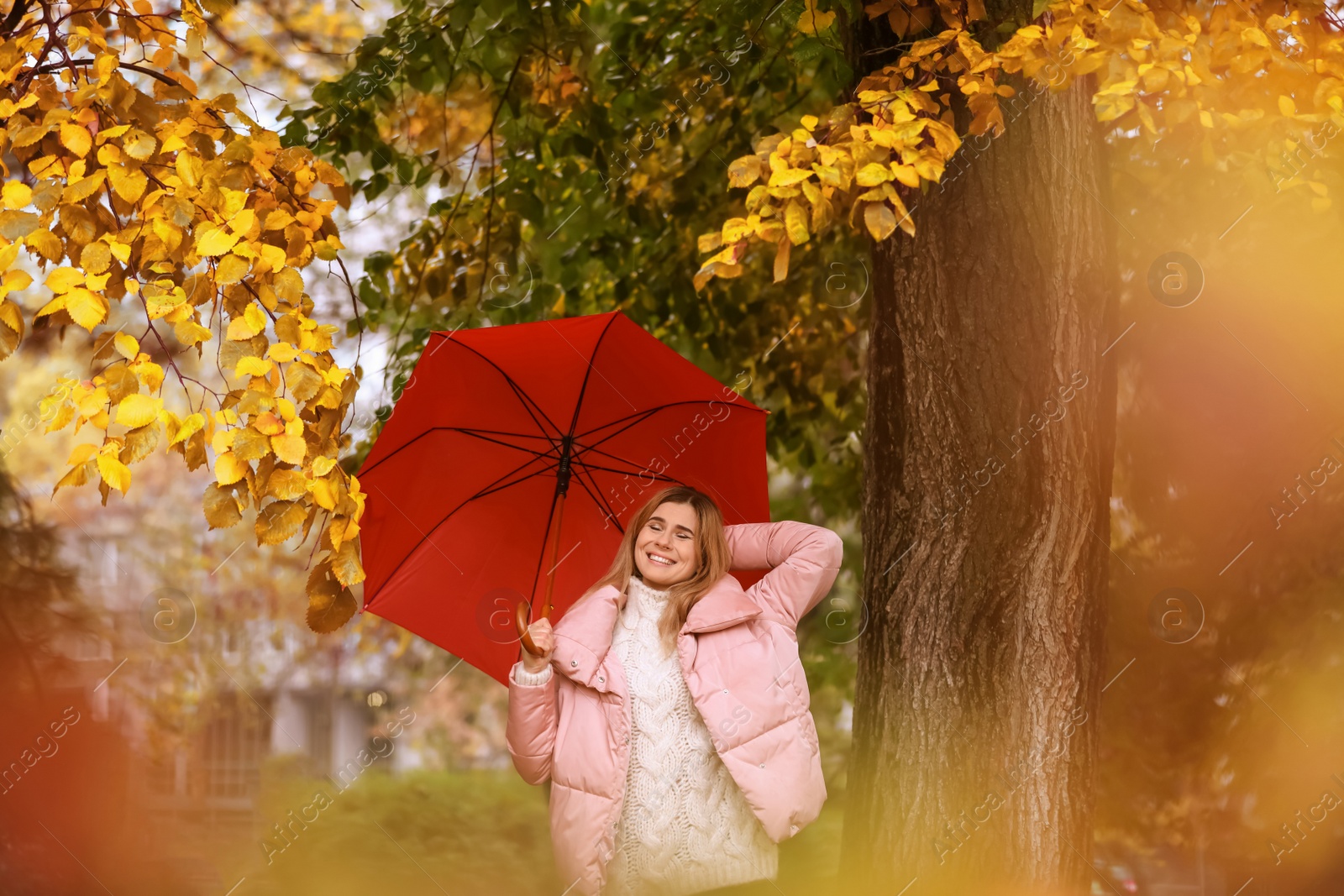 Photo of Woman with umbrella in autumn park on rainy day