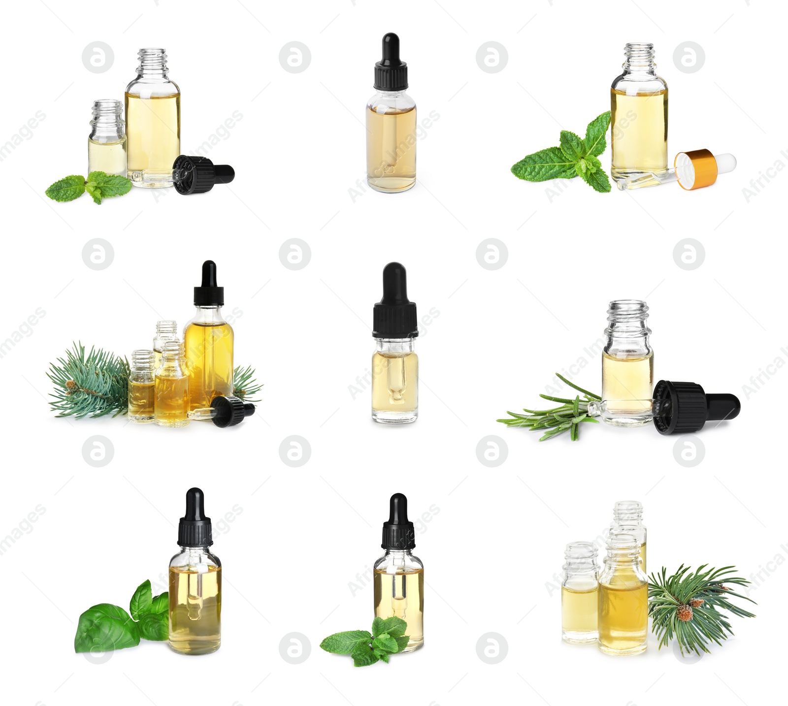 Image of Set with bottles of different essential oils and fresh herbs on white background