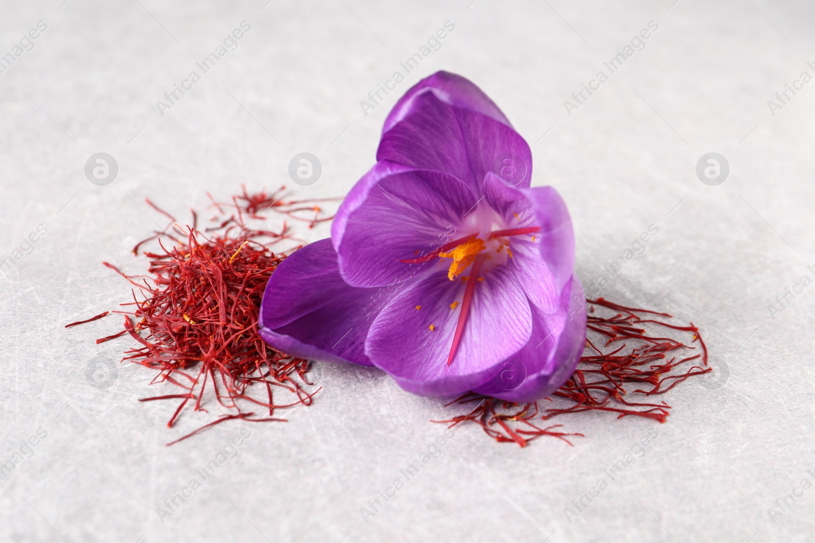 Photo of Dried saffron and crocus flower on light table