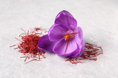 Dried saffron and crocus flower on light table