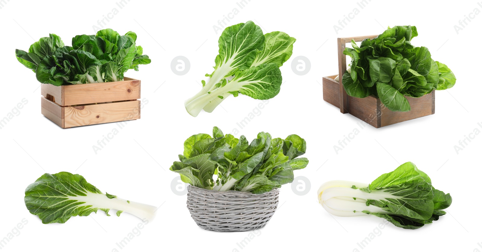 Image of Collage with fresh pak choy cabbages on white background