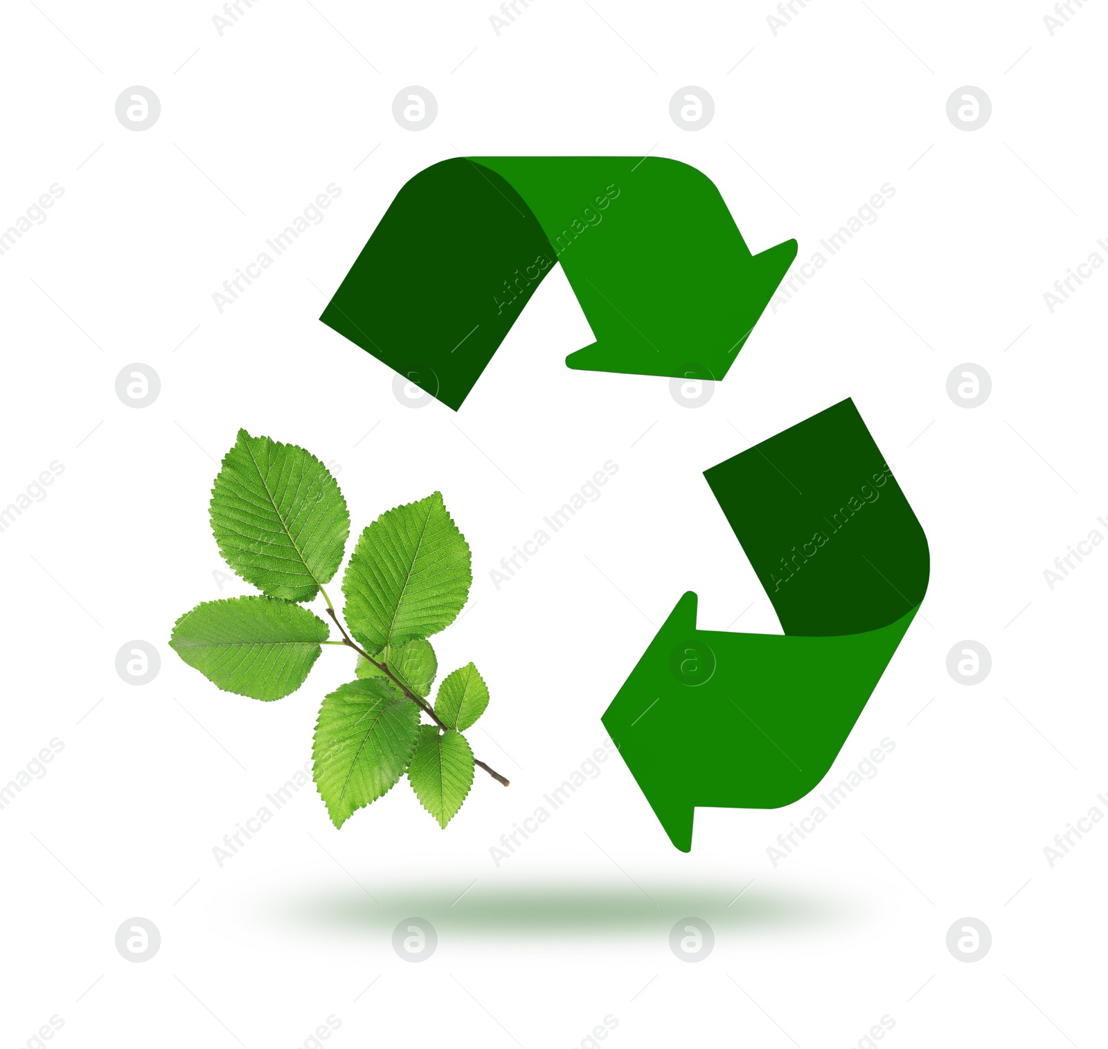 Image of Recycling symbol made of arrows and branch with green leaves on white background