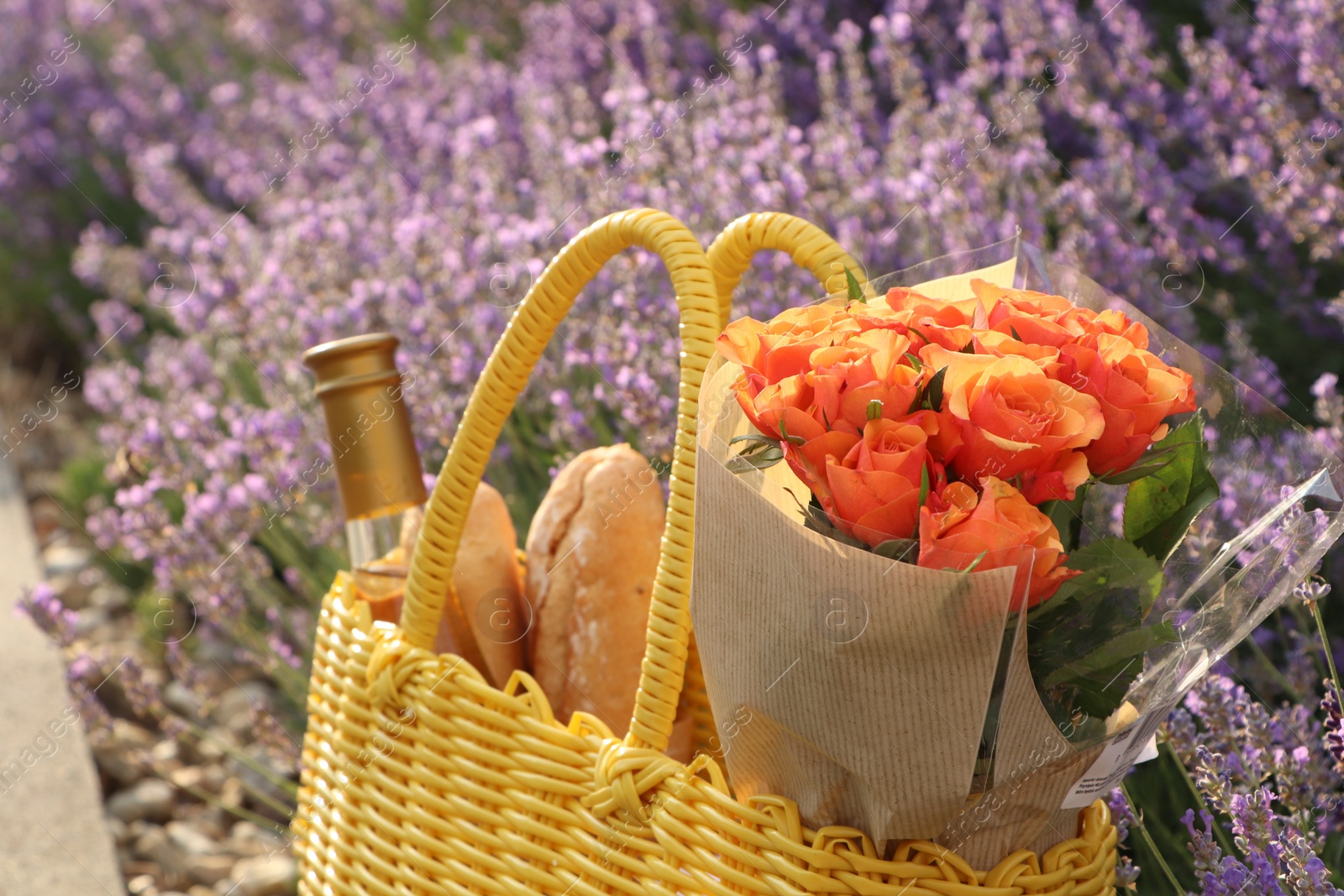 Photo of Yellow wicker bag with beautiful roses, bottle of wine and baguettes near lavender flowers outdoors, closeup