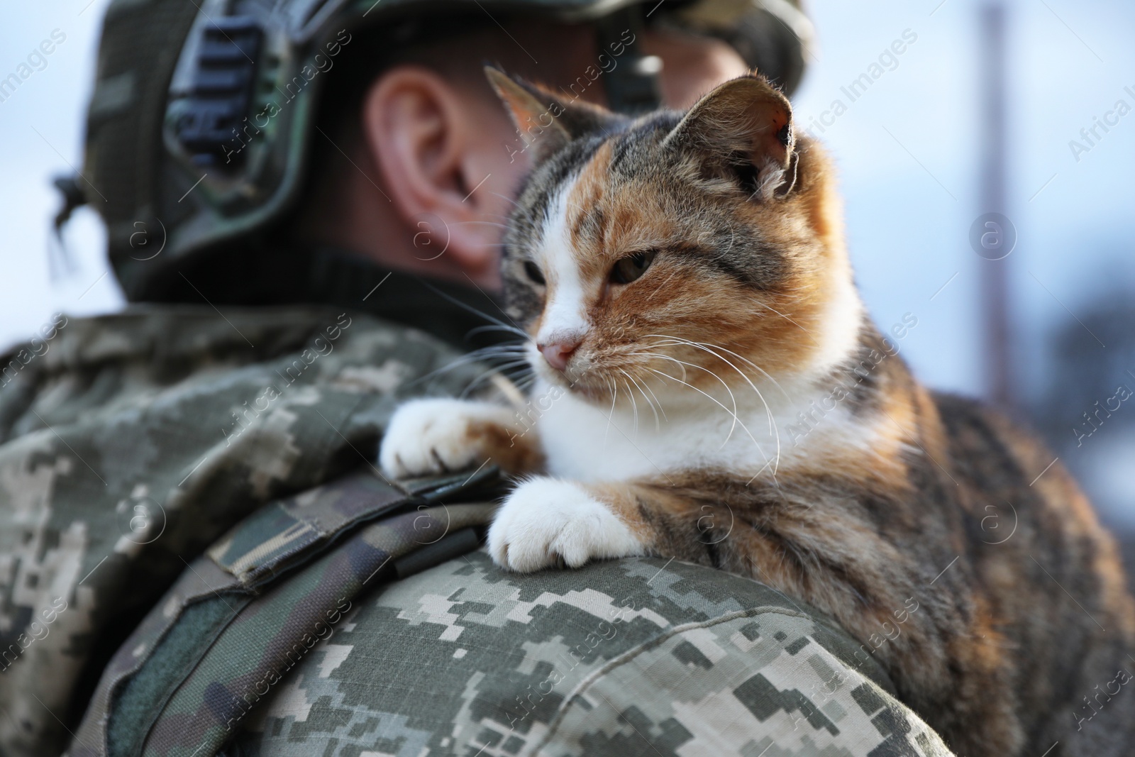 Photo of Little stray cat on Ukrainian soldier's shoulder outdoors, closeup