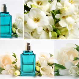 Image of Creative collage with photos of luxury perfume and beautiful flowers on color backgrounds 