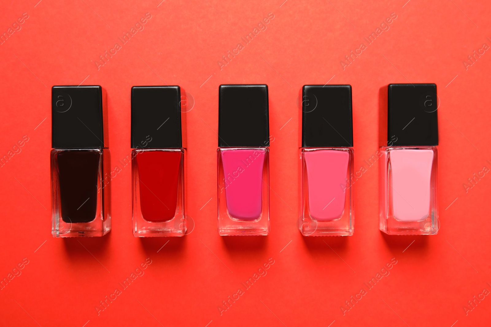 Photo of Bottles of nail polish on color background, top view