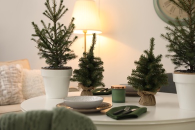 Photo of Small fir trees on dining table indoors. Christmas interior design
