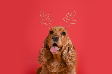 Photo of Adorable Cocker Spaniel dog in reindeer headband on red background