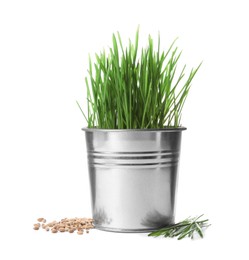 Photo of Potted wheat grass, fresh sprouts and seeds isolated on white