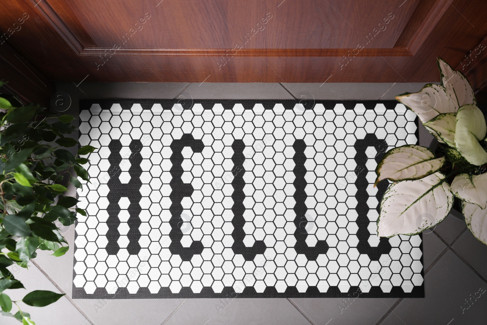 Photo of Stylish door mat with word HELLO and houseplants on floor, top view
