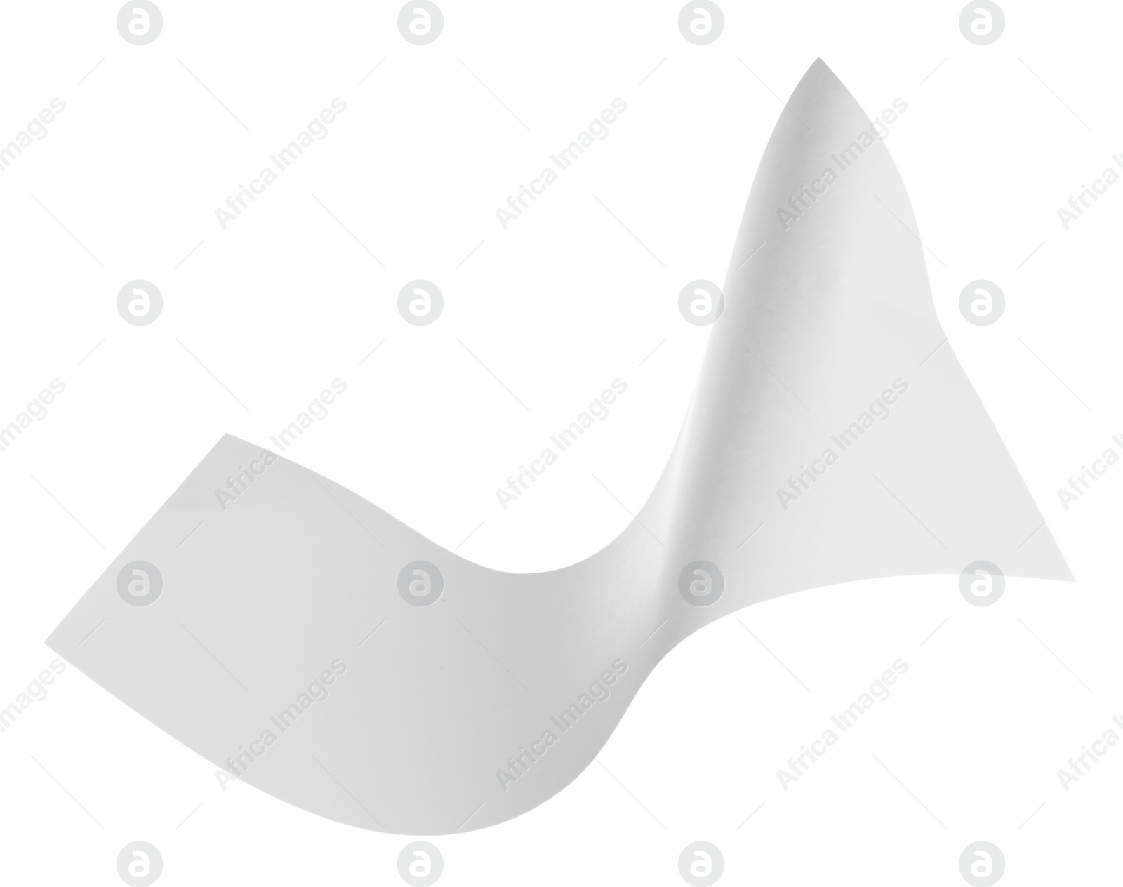 Photo of Flying blank paper sheet isolated on white