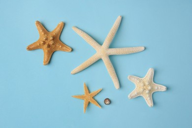 Photo of Beautiful starfishes and sea shell on light blue background, flat lay