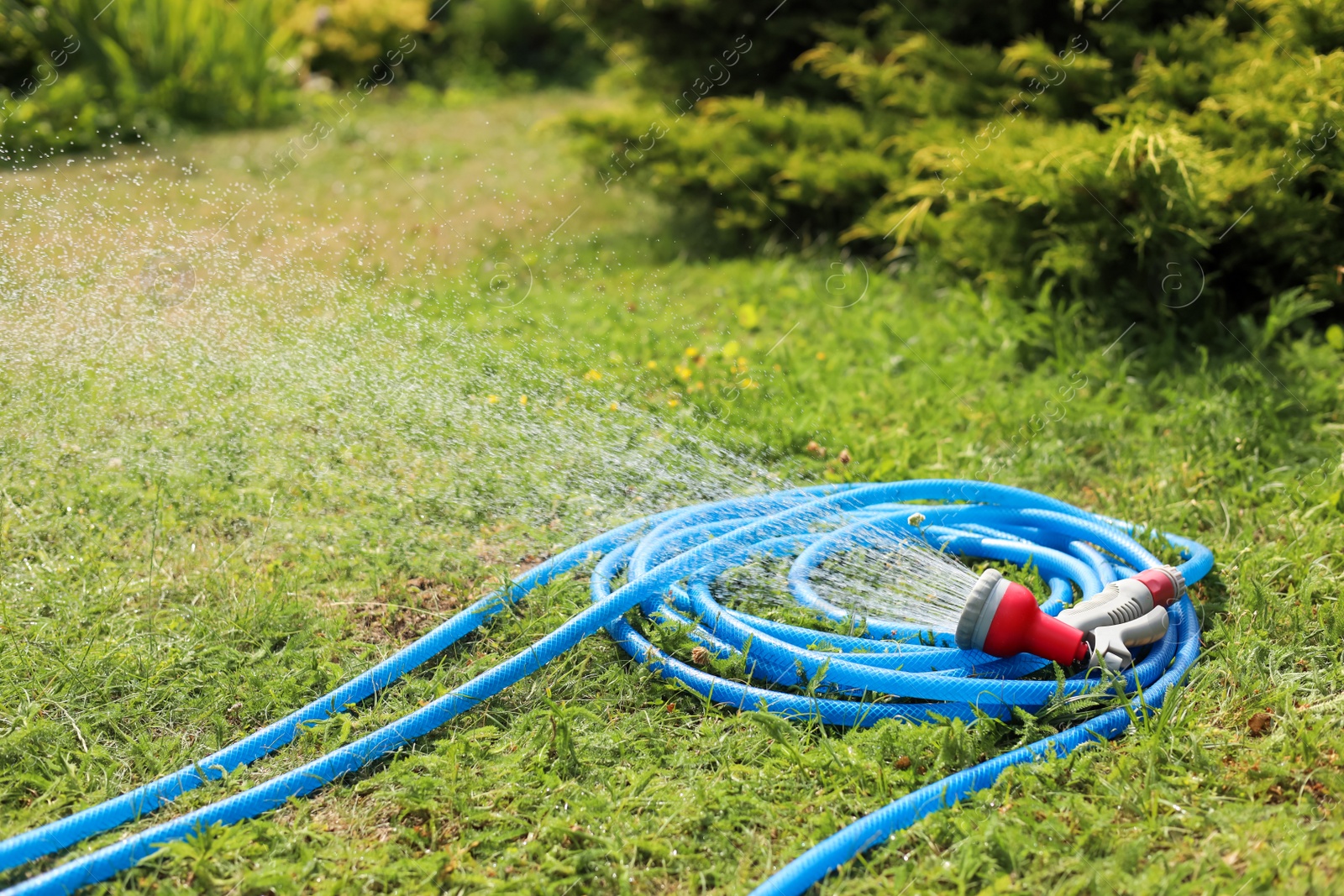 Photo of Water spraying from hose on green grass outdoors