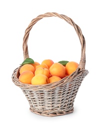 Photo of Basket of ripe apricots isolated on white