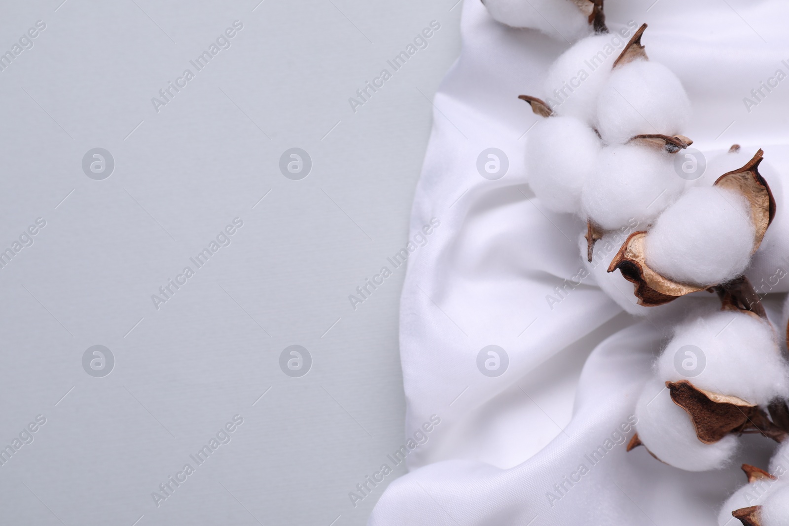 Photo of Cotton branch with fluffy flowers and white fabric on light gray background, top view. Space for text