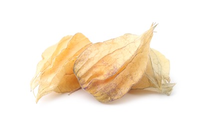 Ripe physalis fruits with calyxes isolated on white