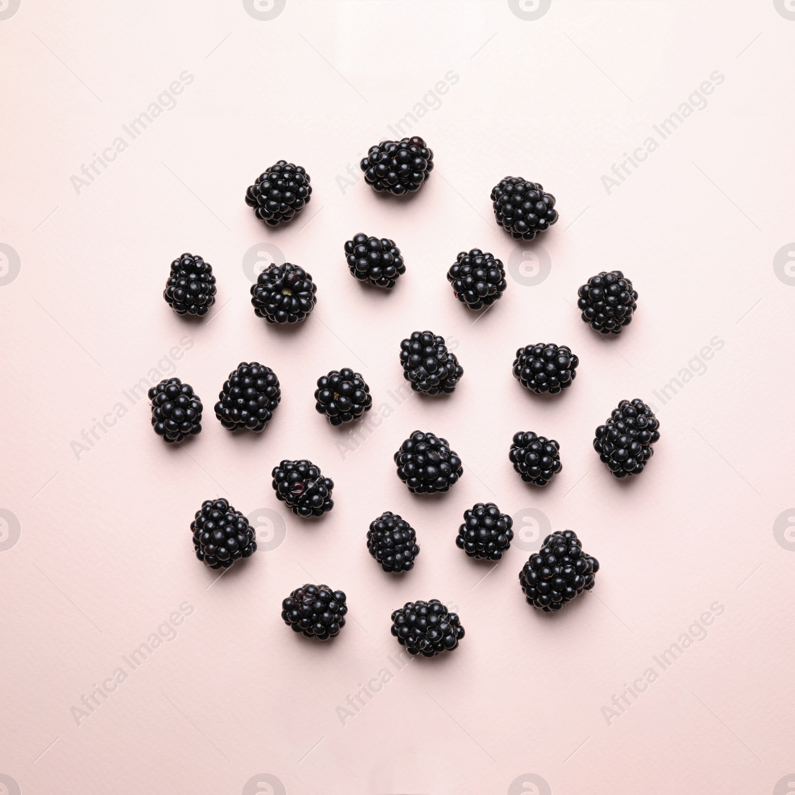 Photo of Tasty ripe blackberries on light background, flat lay