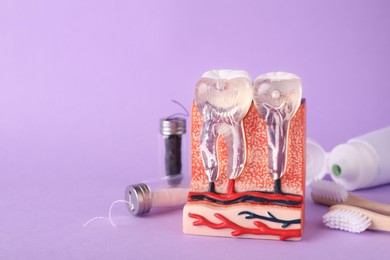 Photo of Model of jaw section with teeth near oral care products on violet background. Space for text