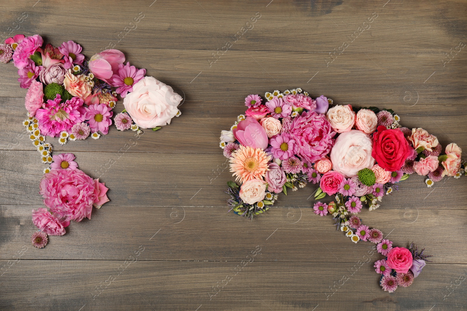 Photo of World map made of different beautiful flowers on wooden table, flat lay