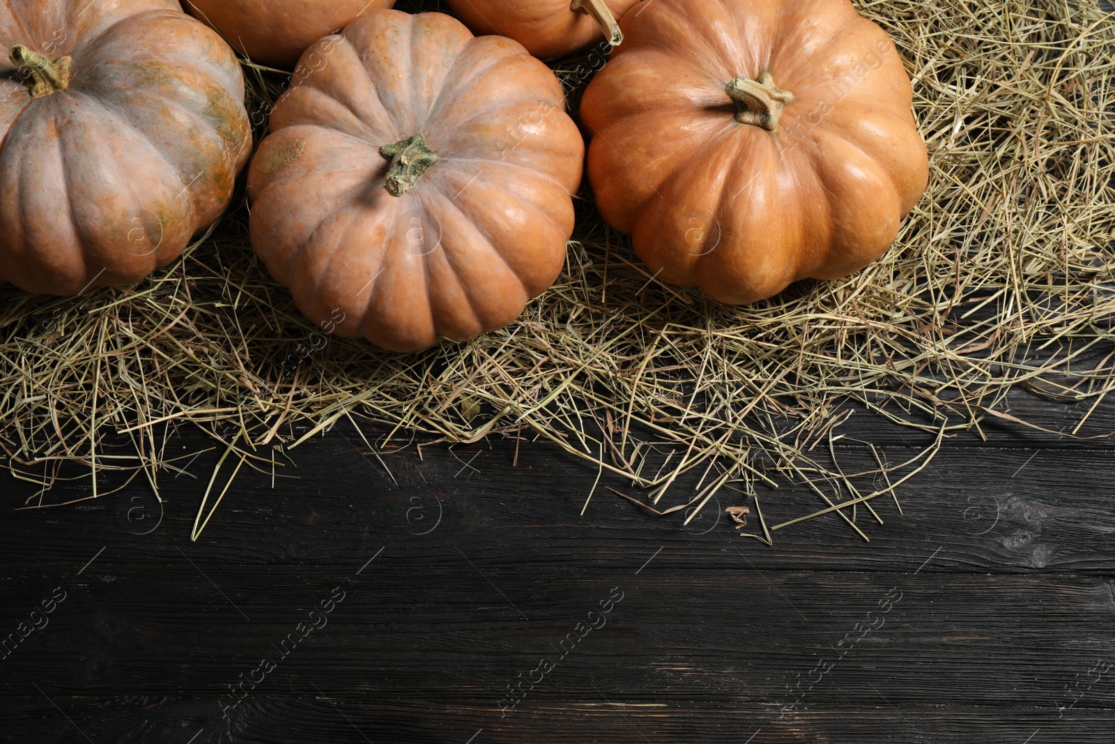 Photo of Flat lay composition with different ripe pumpkins on wooden background, space for text. Holiday decoration