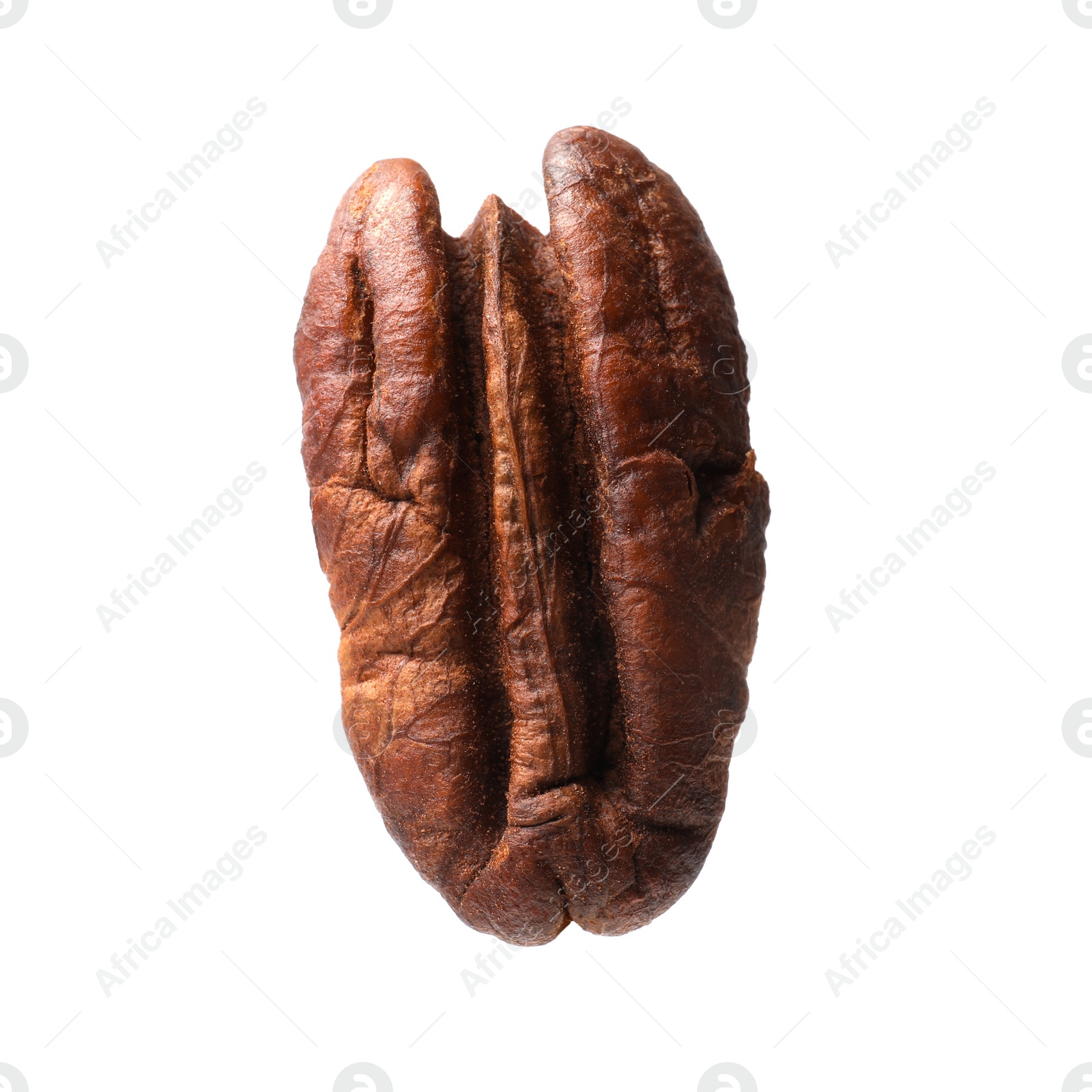 Photo of One tasty pecan nut isolated on white