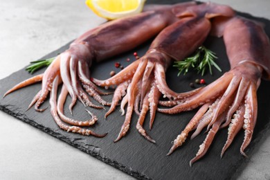 Photo of Fresh raw squids with rosemary and pepper on grey table, closeup