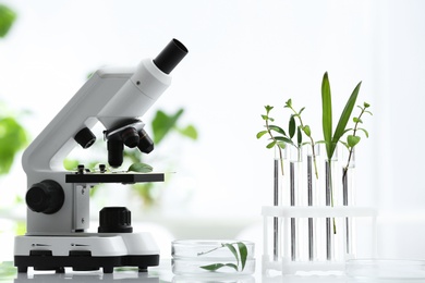 Laboratory glassware with different plants and microscope on table against blurred background. Chemistry research