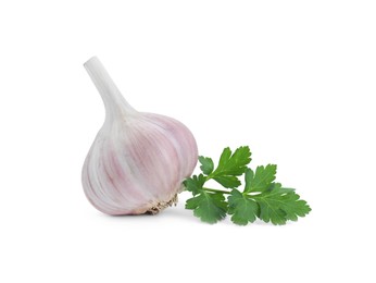 Photo of Fresh garlic bulb and parsley isolated on white