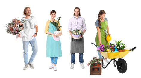 Collage of florists with plants on white background
