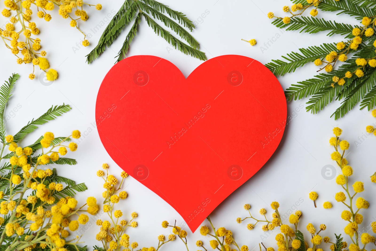 Photo of Beautiful mimosa flowers and heart shaped sticker on white background, flat lay. Space for text