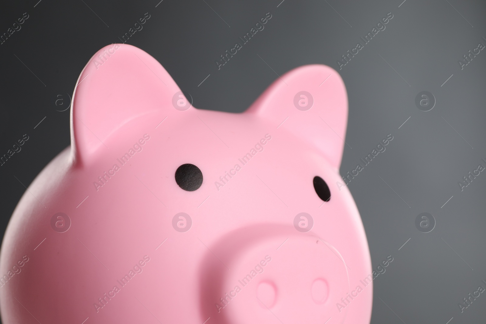 Photo of Pink piggy bank on grey background, closeup