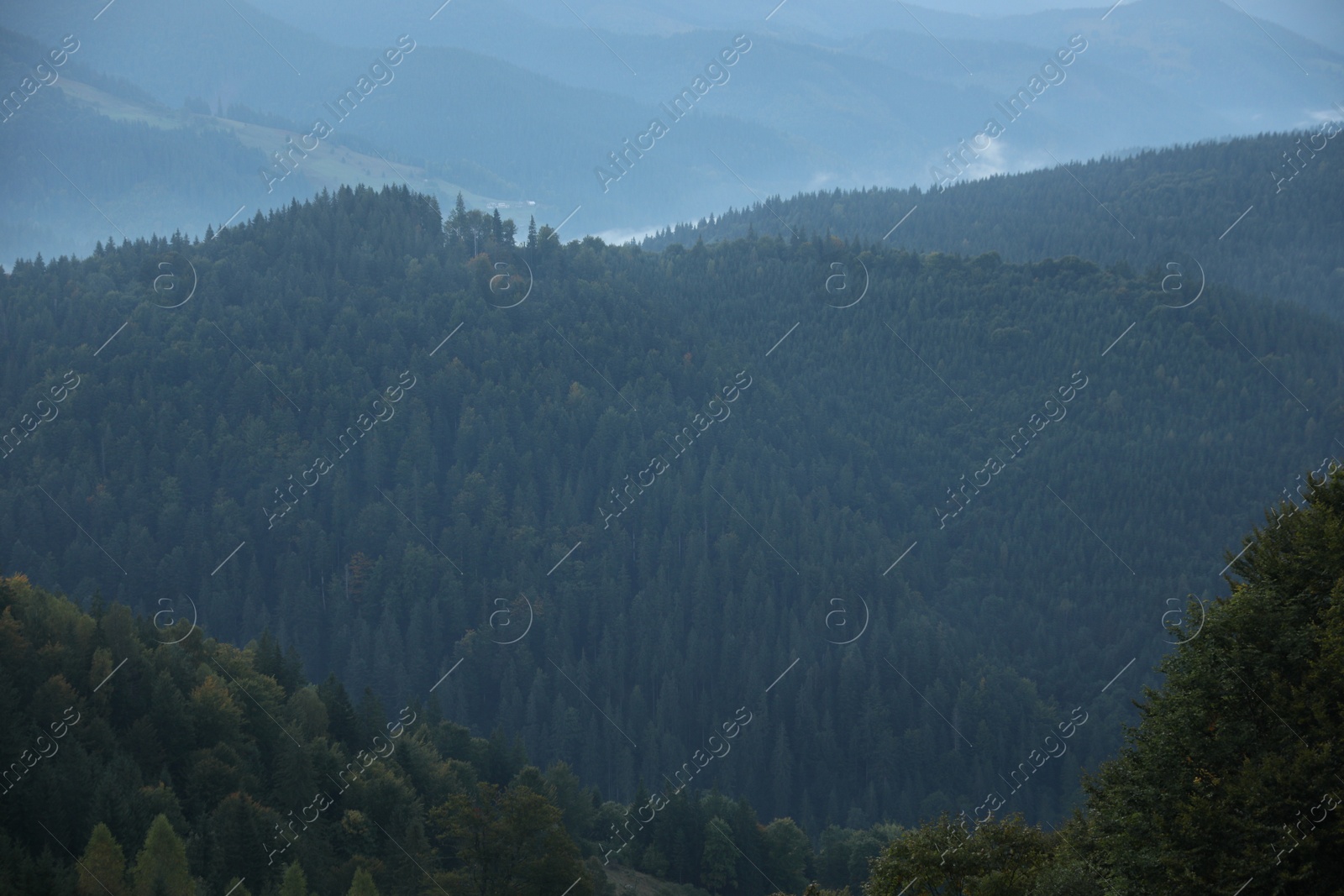 Photo of Amazing view of beautiful foggy mountains in morning