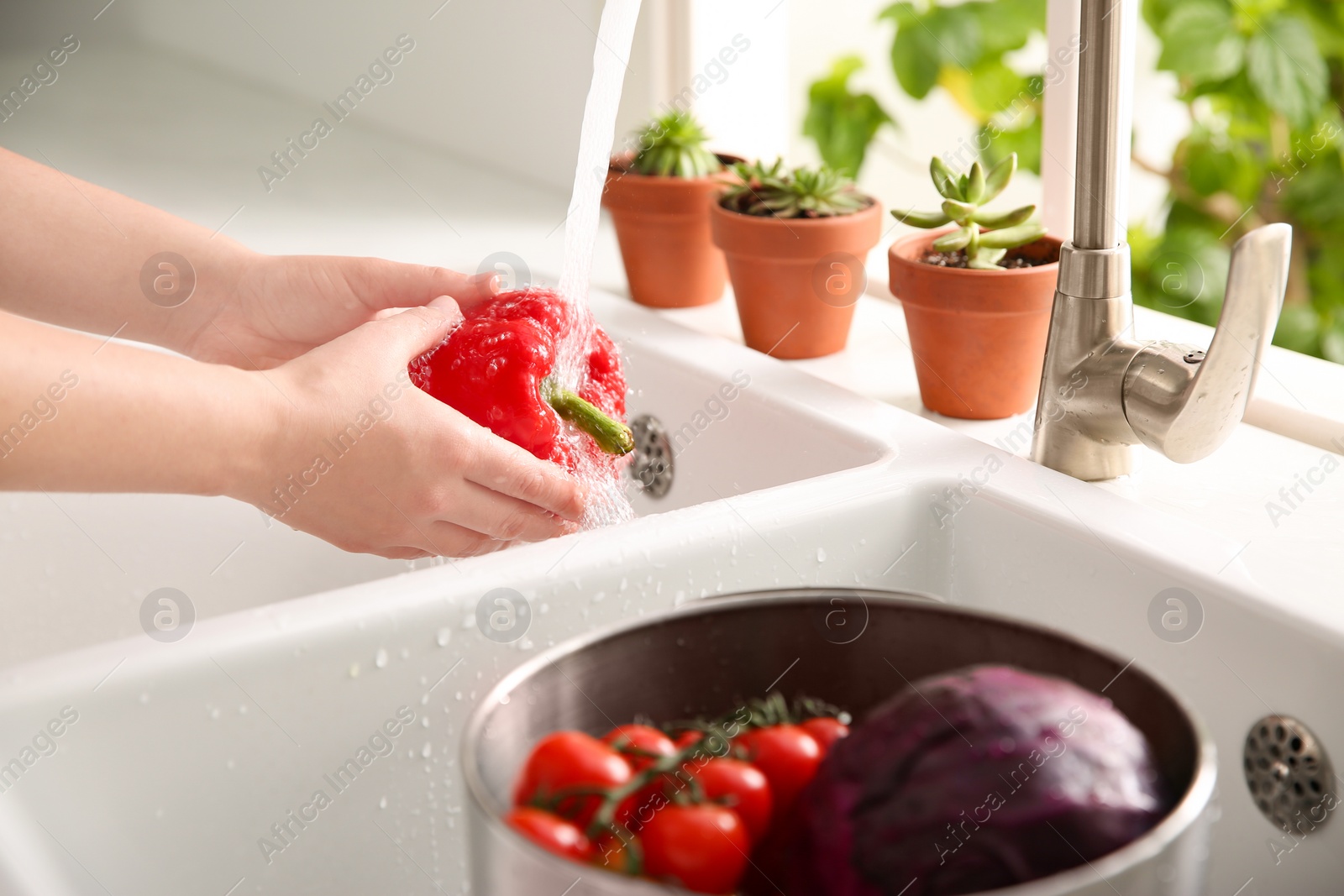 Photo of Woman washing fresh bell pepper in kitchen sink, closeup