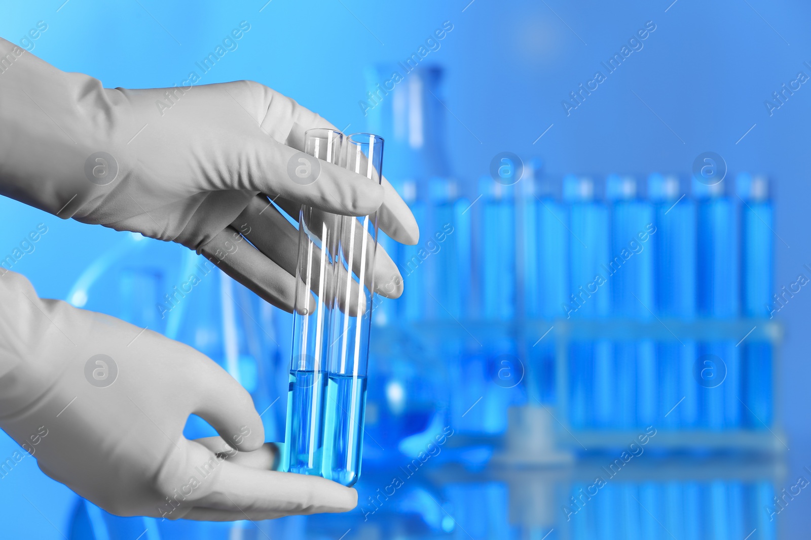 Photo of Scientist holding test tubes with liquid for analysis in laboratory. Space for text