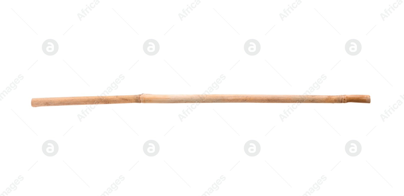Photo of Dry bamboo stick on white background